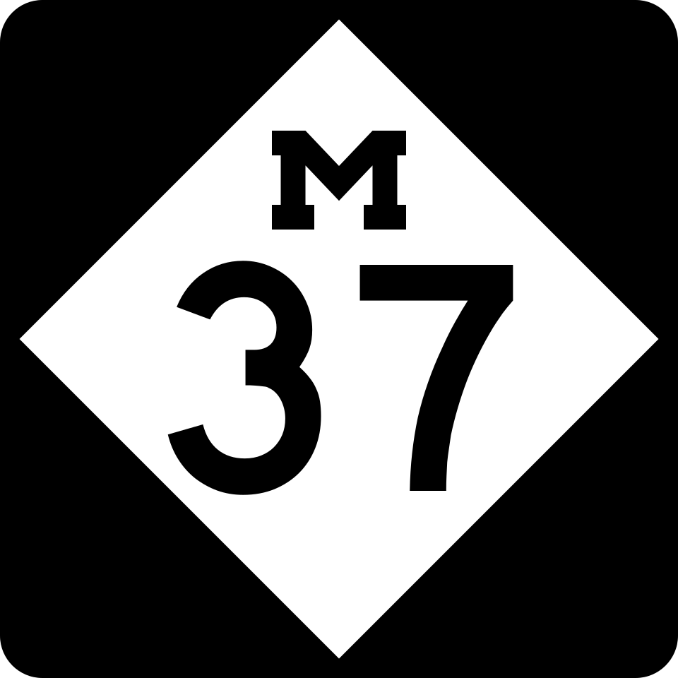 M-37 shield
